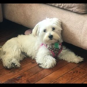 Meet your Posher, Deanne